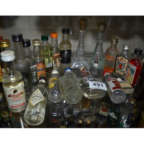 491 - Collection of 18 Decorative Miniatures Vodka Bottles