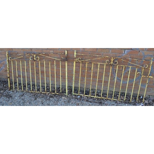 214 - Pair of Yellow Garden Gates