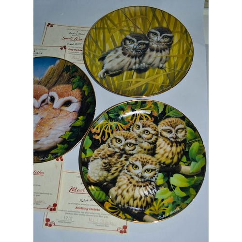 1100 - Collection of 5 Danbury Mint Collector Plates from the Nestling Owlets Series - Boxed with Certs