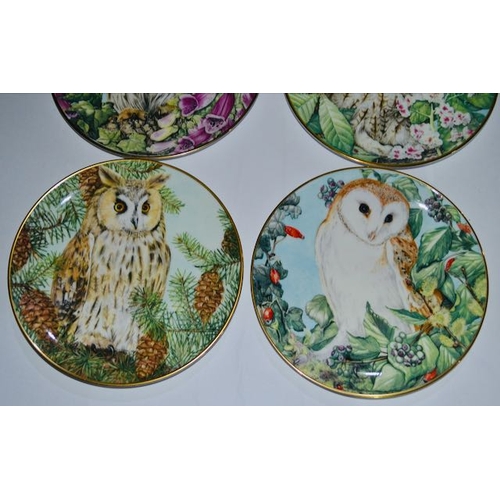 1102 - Collection of 4 Royal Kendal Collectors Plates from The British Owls Collection - Boxed