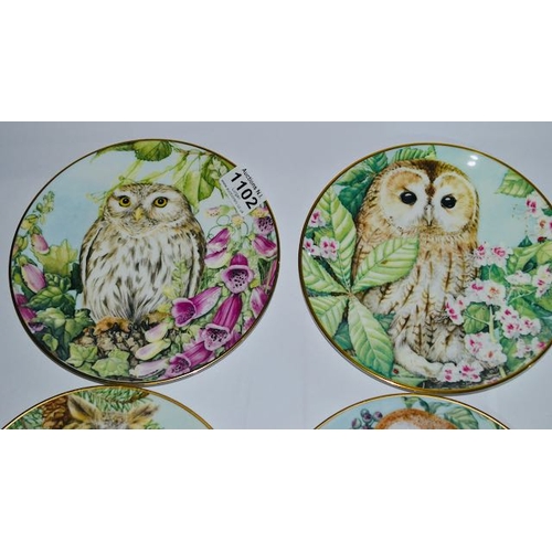 1102 - Collection of 4 Royal Kendal Collectors Plates from The British Owls Collection - Boxed