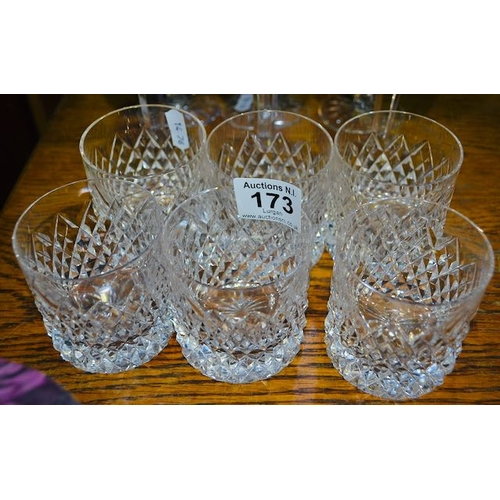 173 - Set of 6 Tyrone Crystal Whiskey Glasses