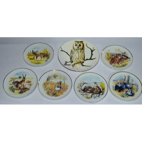 1107 - Collection of 6 Readers Digest Wildlife Plates Boxed + Staffordshire Long Eared Owl Boxed Plate