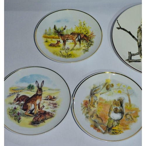 1107 - Collection of 6 Readers Digest Wildlife Plates Boxed + Staffordshire Long Eared Owl Boxed Plate