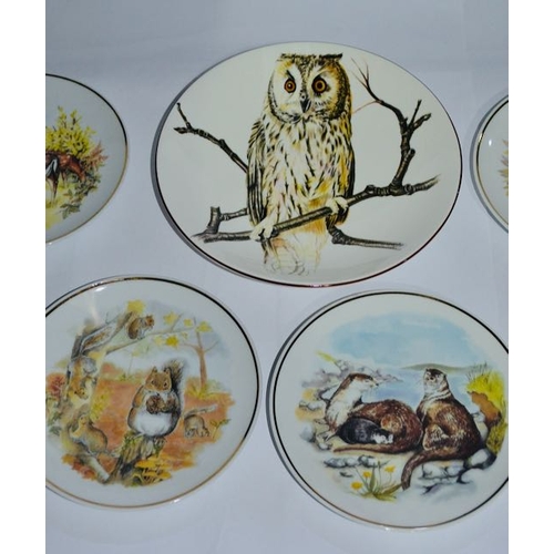 1107 - Collection of 6 Readers Digest Wildlife Plates Boxed + Staffordshire Long Eared Owl Boxed Plate