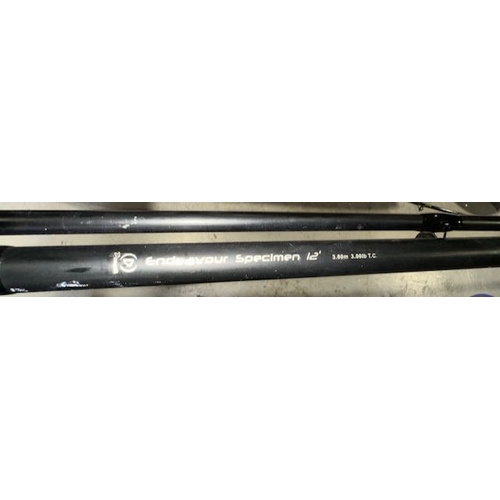 556 - Endeavour Specimen 12' 2pc Rod