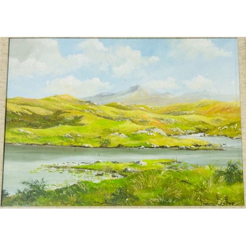 1012 - Nicely Framed Irish Country Scene, Oil On Board, By James Butler, 20