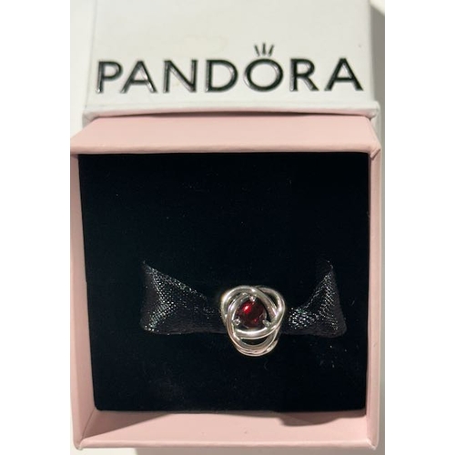 1026 - Pandora January Birthstone Eternity Circle Charm