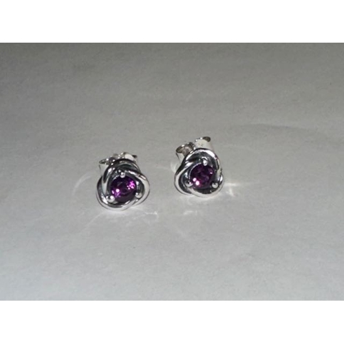 997 - Pandora February Birthstone Eternity Circle Stud Earrings