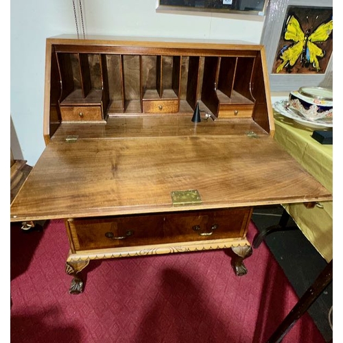 429 - Walnut Fall Front Writing Bureau