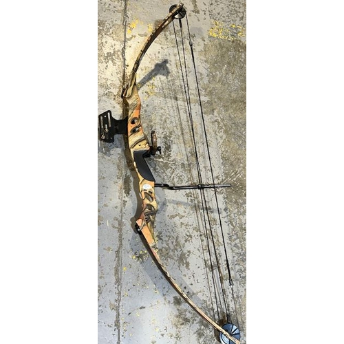 431 - 55lb Compound Bow with Arrows