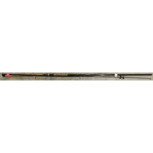 251 - 2pc Daiwa 10' Carbon Spin Rod