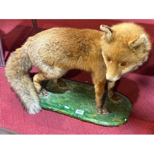 456 - Taxidermy Fox On Stand