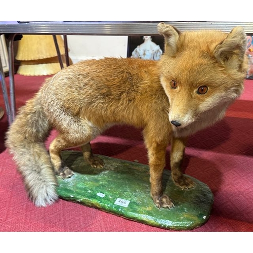 456 - Taxidermy Fox On Stand