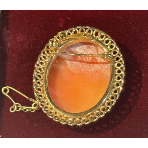 301 - 9ct Cameo Brooch