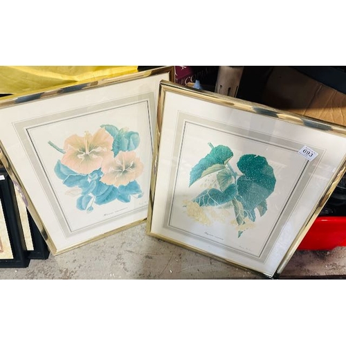 693 - Pair Of Gilt Framed Mid Century Botanical Prints Signed