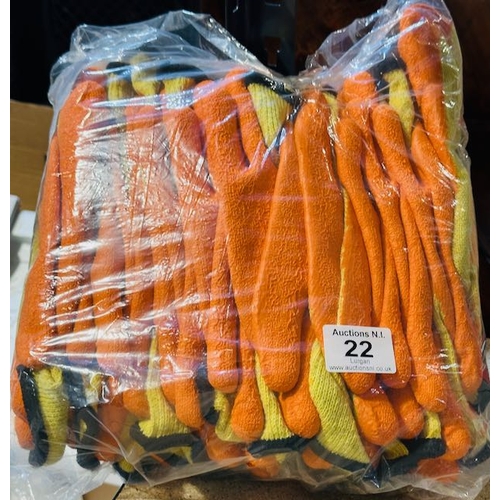 Lot 22        