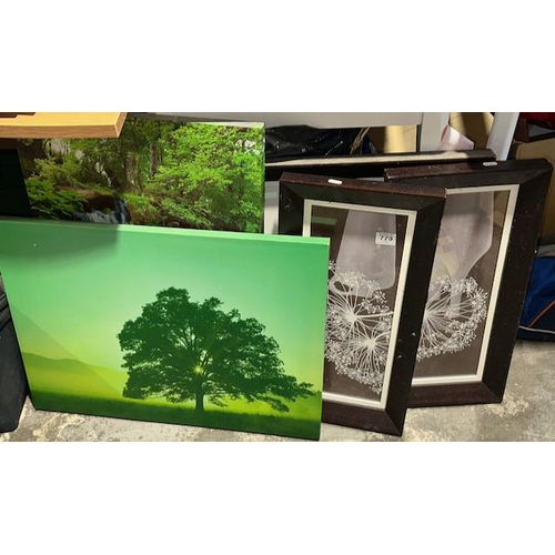779 - 3 x Quality Framed Prints + 2 x Canvas