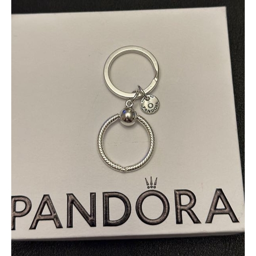 1087 - Pandora Moments Charm Key Ring