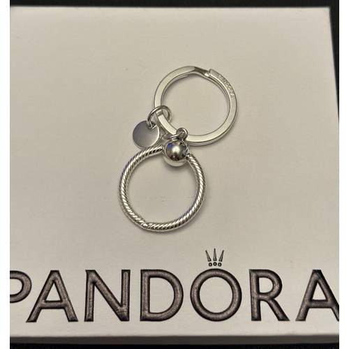 1087 - Pandora Moments Charm Key Ring