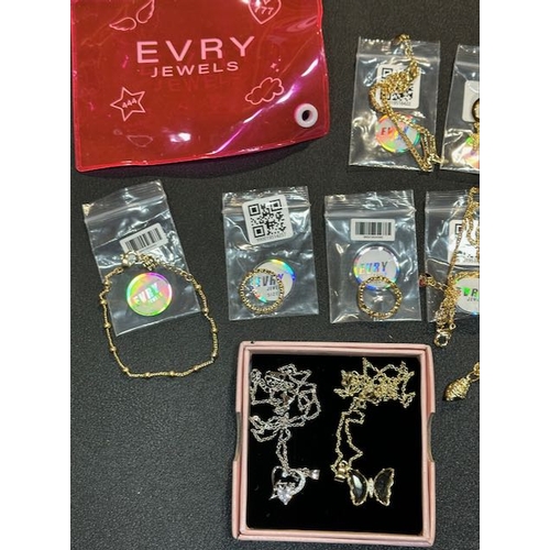 1011 - Collection Of EVRY Jewellery  + 2 Others