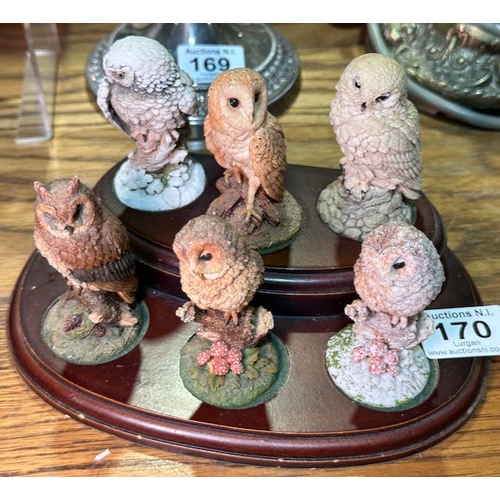 170 - 12x Collectible Royal Doulton Owls on Plinths