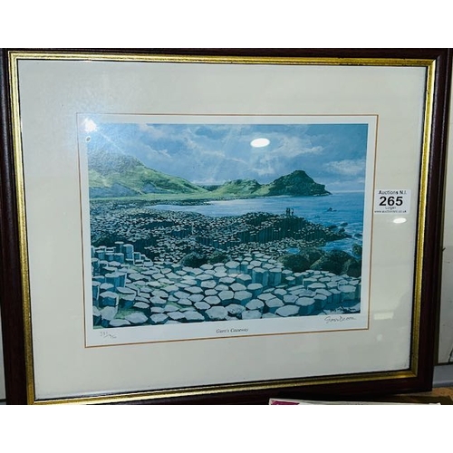 265 - Framed Gary Mc Gregor Devon Limited Edition Giants Causeway Print 381/950