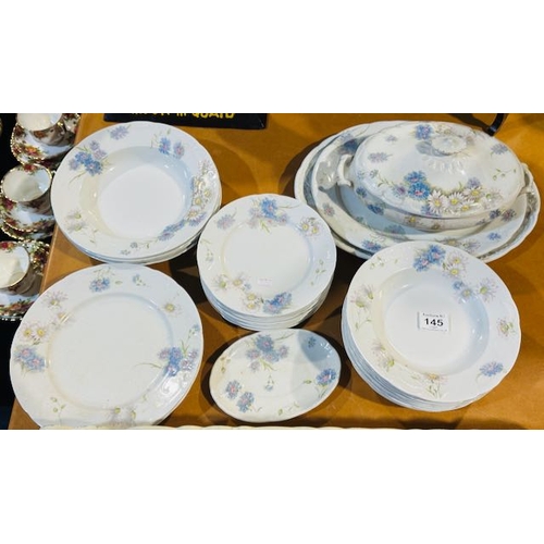 145 - Vintage 30pc Approx Dinner Service