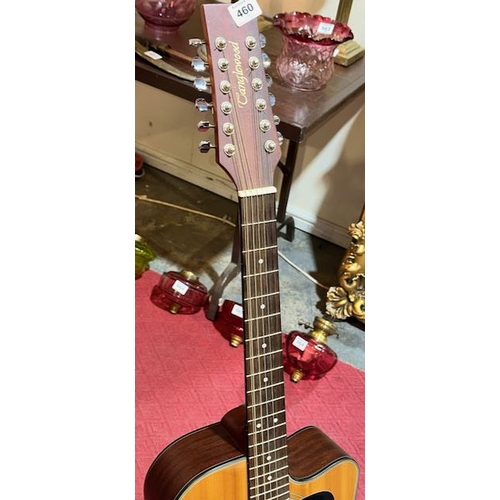 460 - Tanglewood 12 String Semi Acoustic Guitar - Model TW 1200 NS/CE