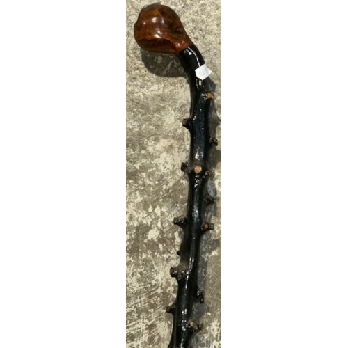 210 - Blackthorn Walking Stick With Natural Handle