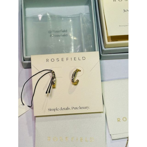 900 - Rosefield Hoop Earrings + 