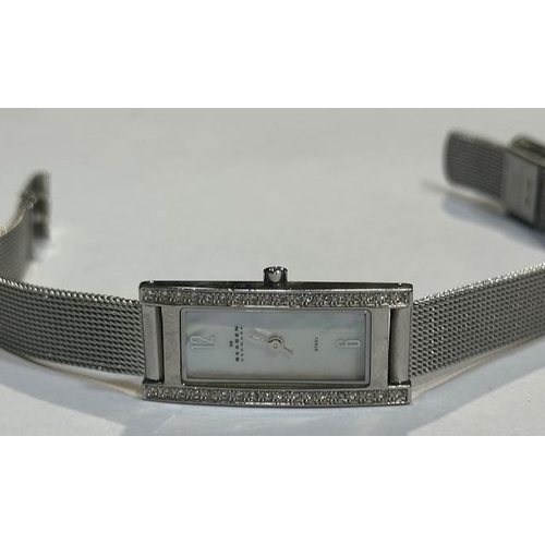 966 - Skagen Watch