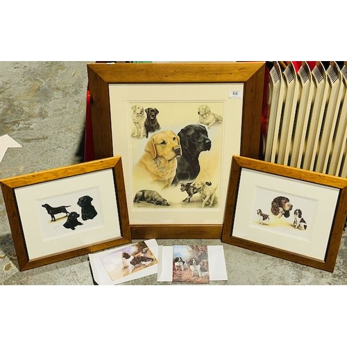 66 - Collection of Framed Dog Prints & Cards