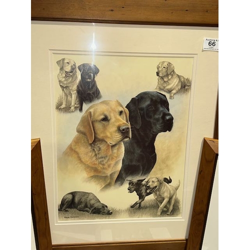 66 - Collection of Framed Dog Prints & Cards