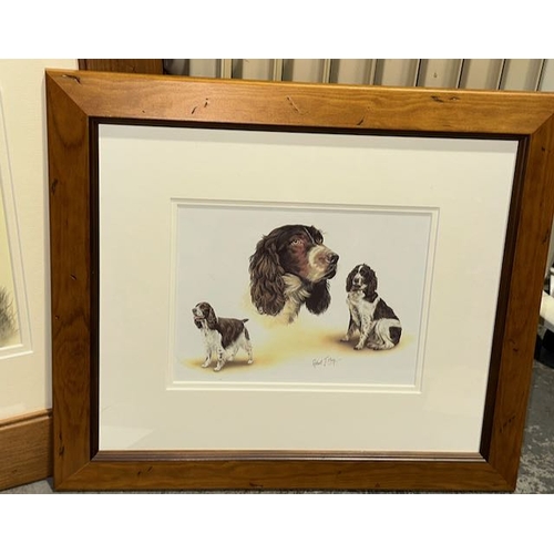 66 - Collection of Framed Dog Prints & Cards