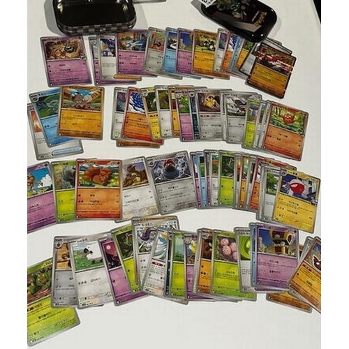 1177 - Large Boxed Christmas Wreath