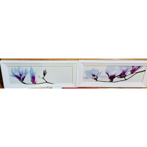 Lot 213       