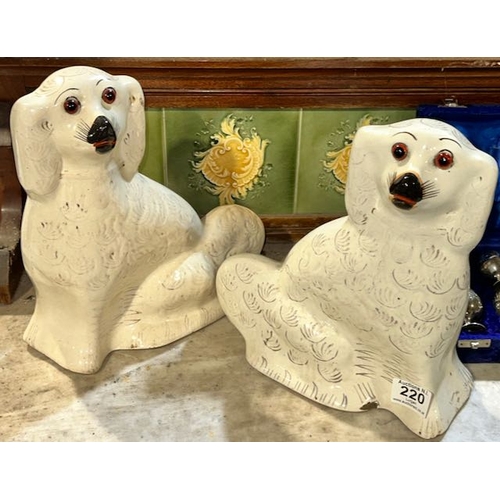 Lot 220       