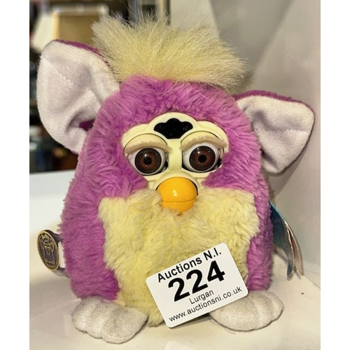 Lot 224       