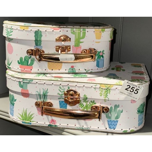 Lot 255       