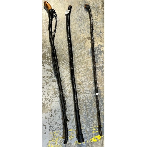 163 - 3x Blackthorn Sticks Incl 1 With Blackthorn Twist