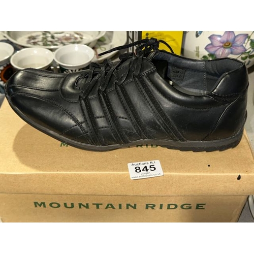 Lot 845       