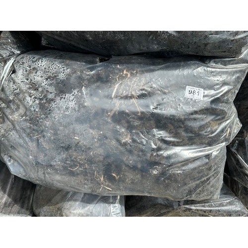 Lot 981       