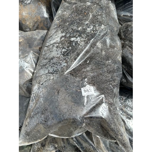 Lot 982       