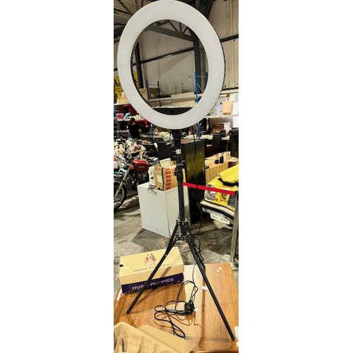 Lot 572       