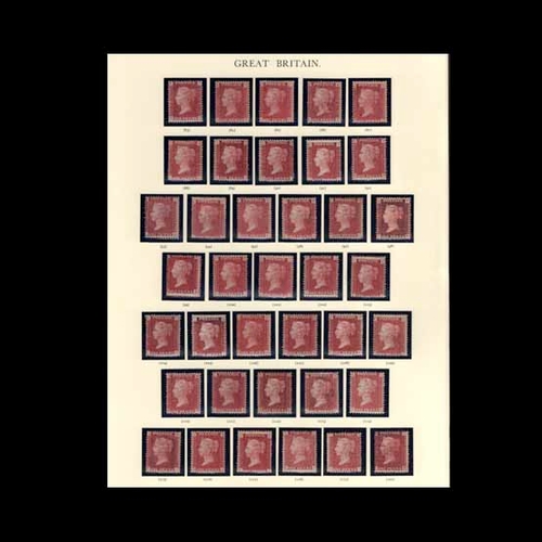 Lot 7540      