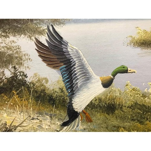 430 - Pair of gilt framed paintings both featuring mallards, signed but indistinct, each one 22