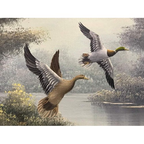 430 - Pair of gilt framed paintings both featuring mallards, signed but indistinct, each one 22