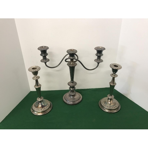 Lot 21        