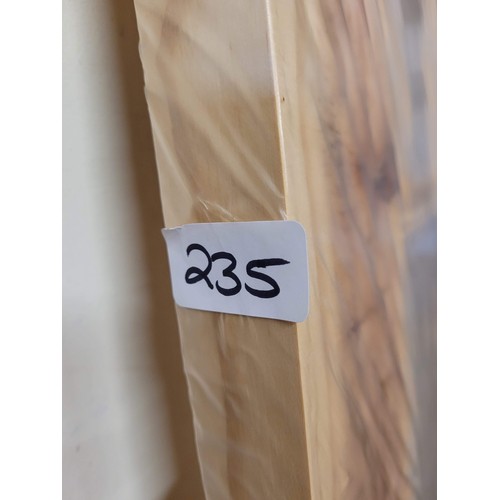 235 - pine door